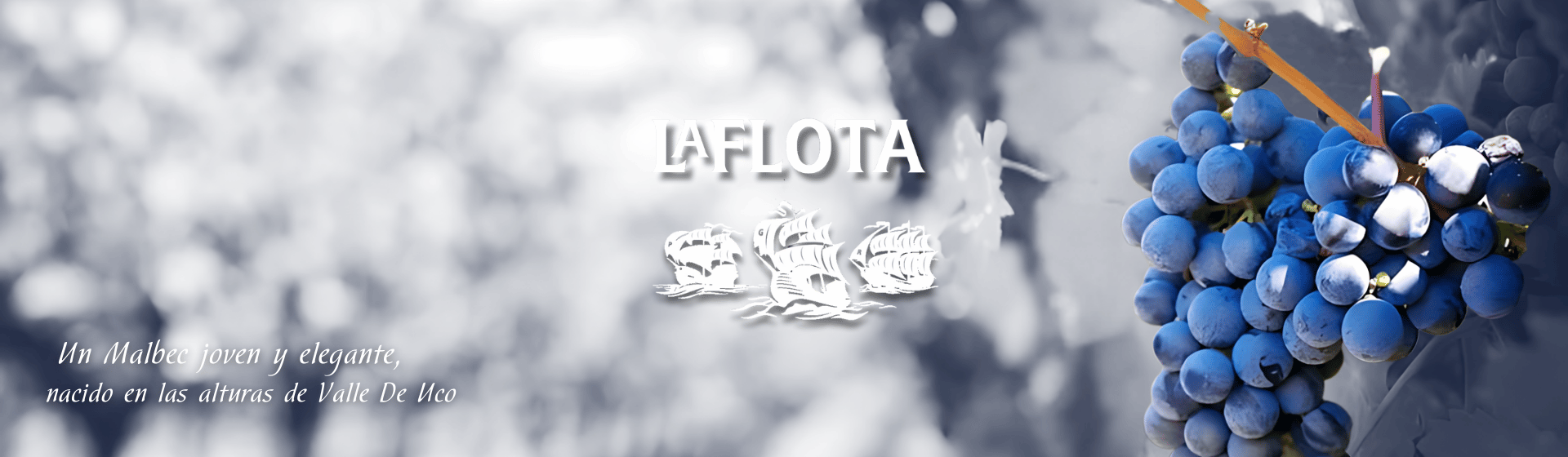 uvas flota wines